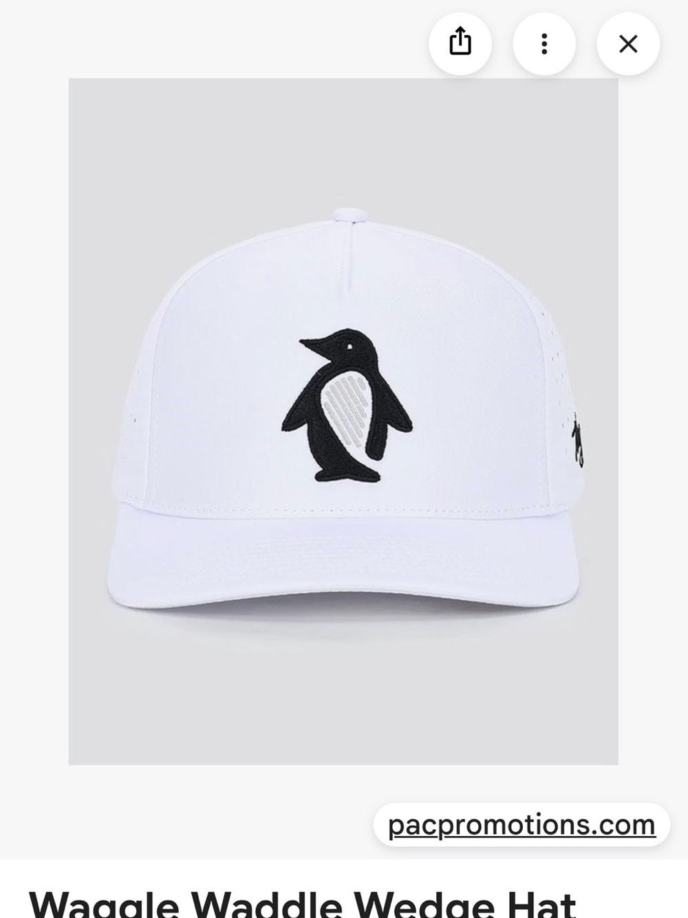 Waggle Waddle Wedge Hat